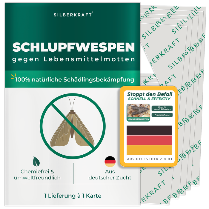 Schlupfwespen gegen Lebensmittelmotten - Motten mit Nützlinge bekämpfen - Silberkraft