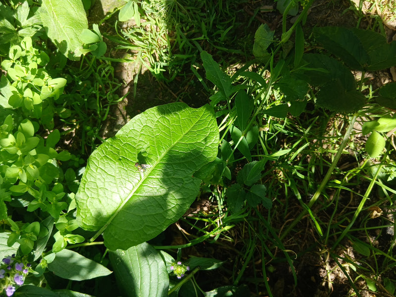 Niebieskie butelki — Bild 3