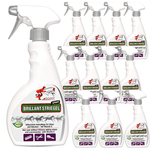 Spray do grzywy i ogona Genialny na lśniącą sierść końską - Silberkraft