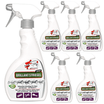 Spray do grzywy i ogona Genialny na lśniącą sierść końską - Silberkraft