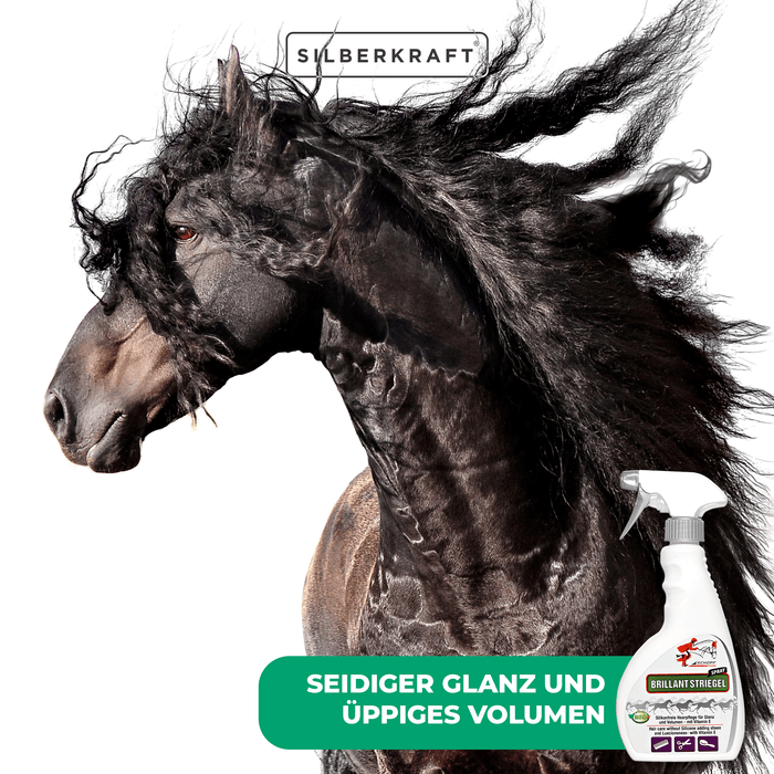 Schweif- und Mähnenspray Brillant für glänzendes Pferdehaar - Silberkraft