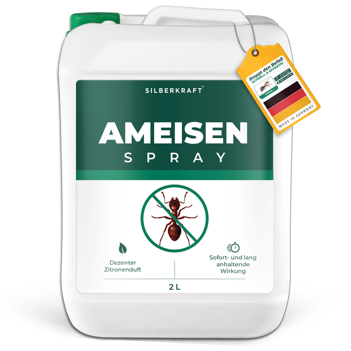 Silberkraft Ameisenspray in einem weißen Kanister mit grünem Etikett und einem Ameisensymbol, mit der Aufschrift "Ameisenspray".