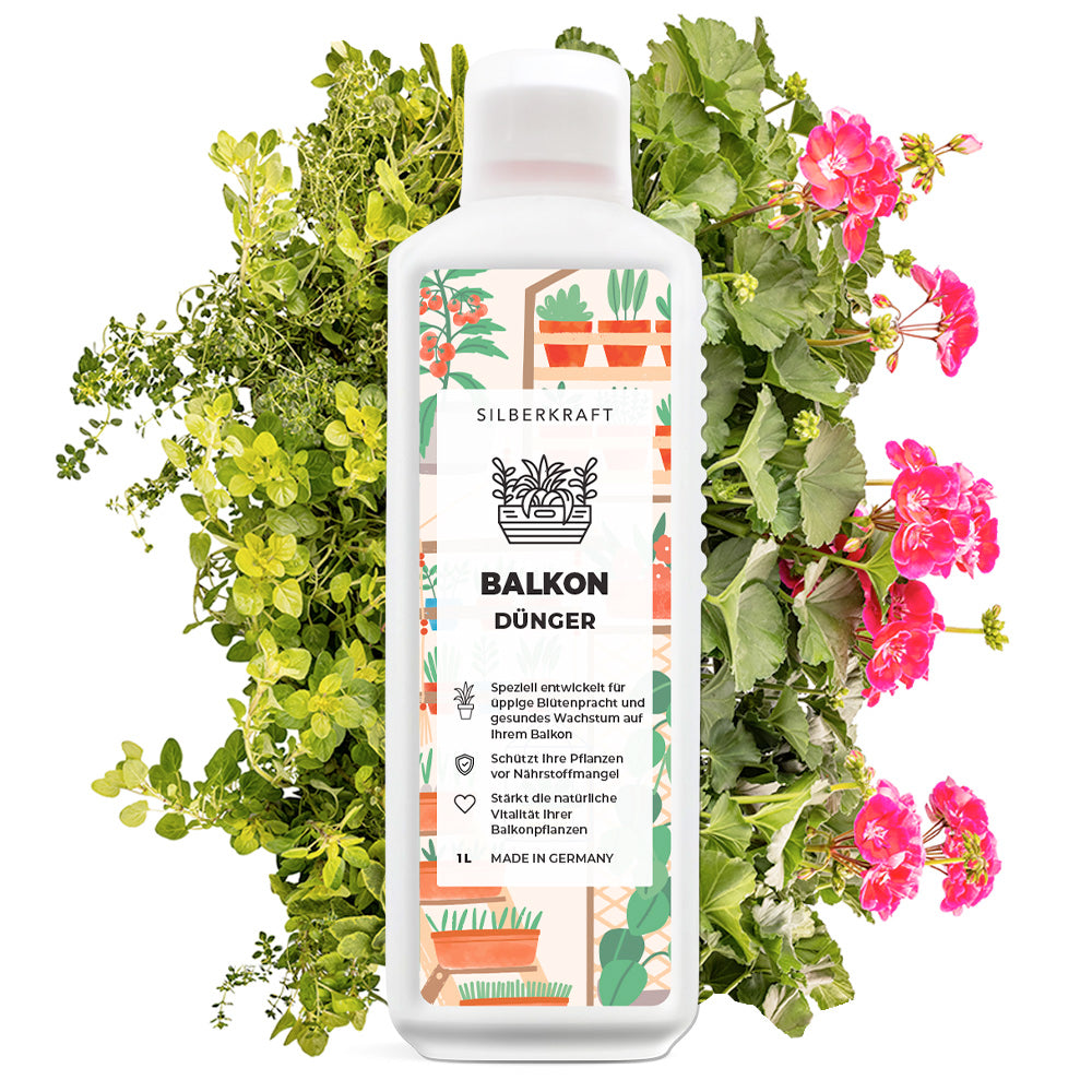 Balkon Dünger - Mineralischer NPK Flüssigdünger mit Stickstoff - Dünger für Kübelpflanzen - Balkonpflanzen düngen - Langzeitdünger - Silberkraft