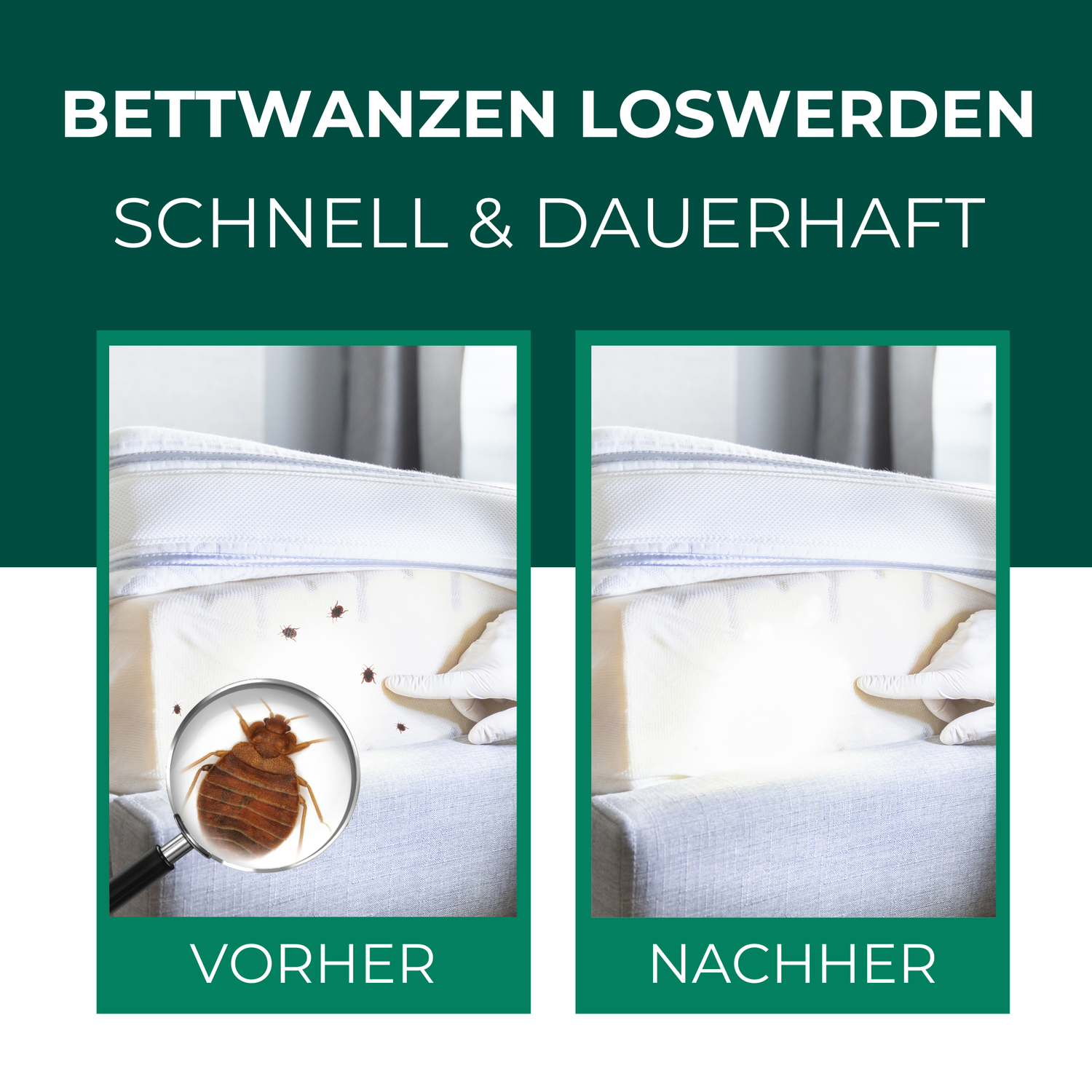 Anti Bettwanzen Spray - Bettwanzenspray - Silberkraft