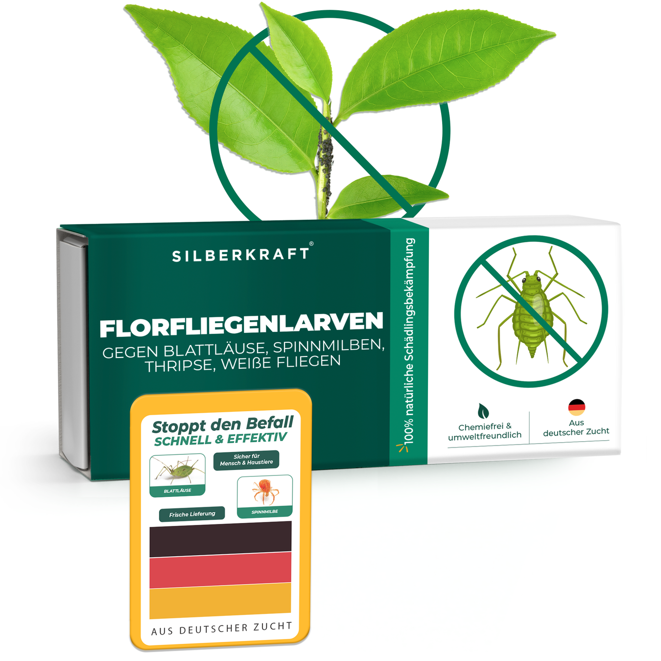 Florfliegenlarven