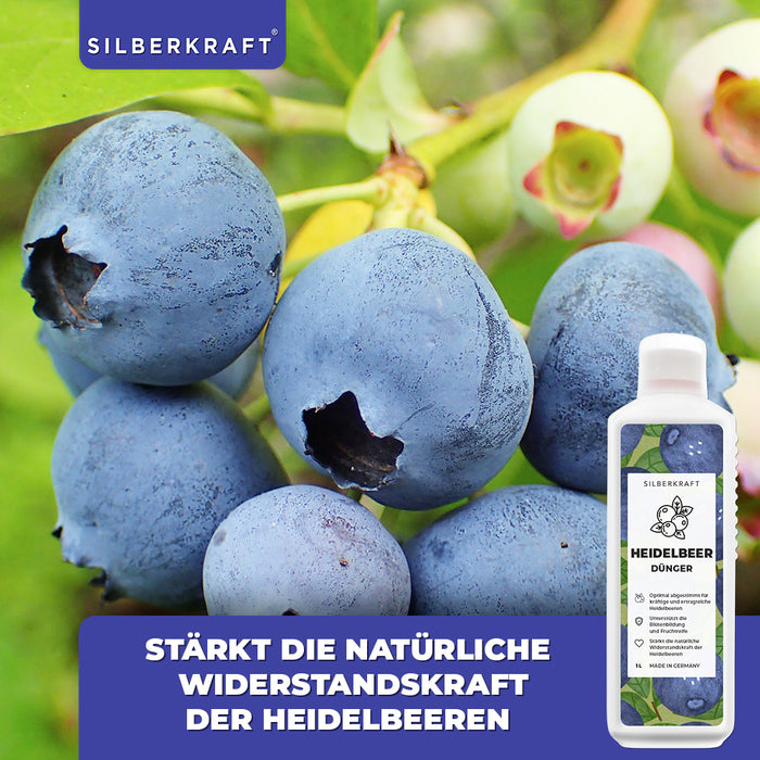 Heidelbeer Dünger - Mineralischer NPK Flüssigdünger mit Stickstoff - Dünger für Heidelbeeren - Blaubeer Dünger - Beerendünger - Silberkraft