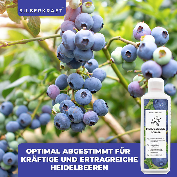 Heidelbeer Dünger - Mineralischer NPK Flüssigdünger mit Stickstoff - Dünger für Heidelbeeren - Blaubeer Dünger - Beerendünger - Silberkraft