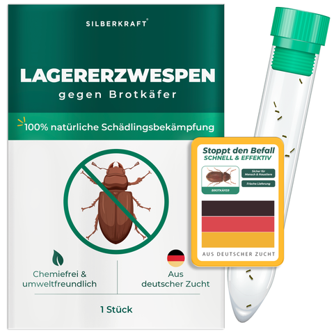 Osy chalcidowe obozują przeciwko chrząszczom chlebowym, chrząszczom tytoniowym, chrząszczom kulistym, chrząszczom mosiężnym (Lariophagus distinguendus, Anisopteromalus calandrae)