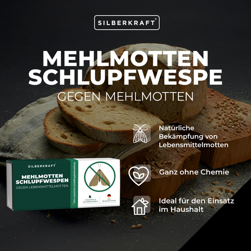 Mehlmottenschlupfwespen - Schlupfwespen gegen Mehlmotten - Silberkraft