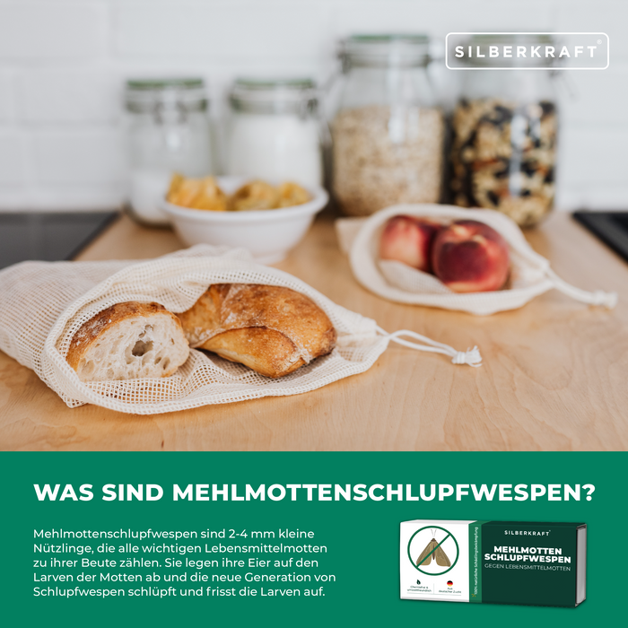 Mehlmottenschlupfwespen - Schlupfwespen gegen Mehlmotten - Silberkraft