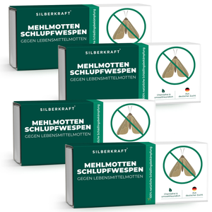 Mehlmottenschlupfwespen - Schlupfwespen gegen Mehlmotten - Silberkraft