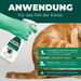 Nahaufnahme der Anwendung von Silberkraft Milbenspray auf das Fell einer Katze.