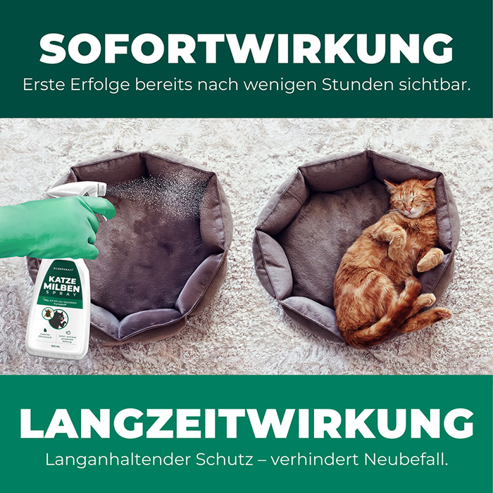 Silberkraft Milbenspray mit Text, der die sofortige und langanhaltende Wirkung des Produkts anpreist.