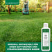 Rasen Dünger - Mineralischer NPK Flüssigdünger mit Stickstoff - Dünger für Rasen - Herbstdünger - Silberkraft