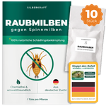 Silberkraft Raubmilben gegen Spinnmilben – 10 Tüten