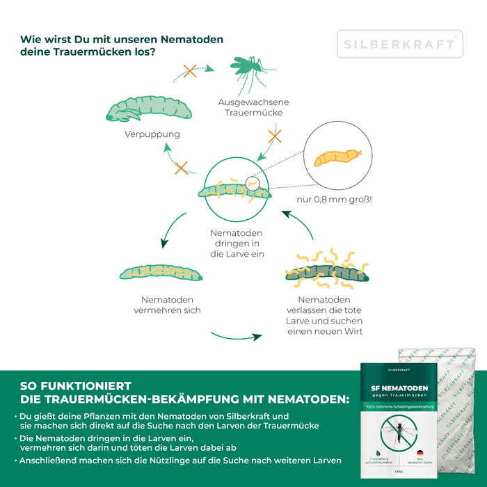 SF Nematoden zur Bekämpfung von Trauermücken für Zimmerpflanzen - Silberkraft