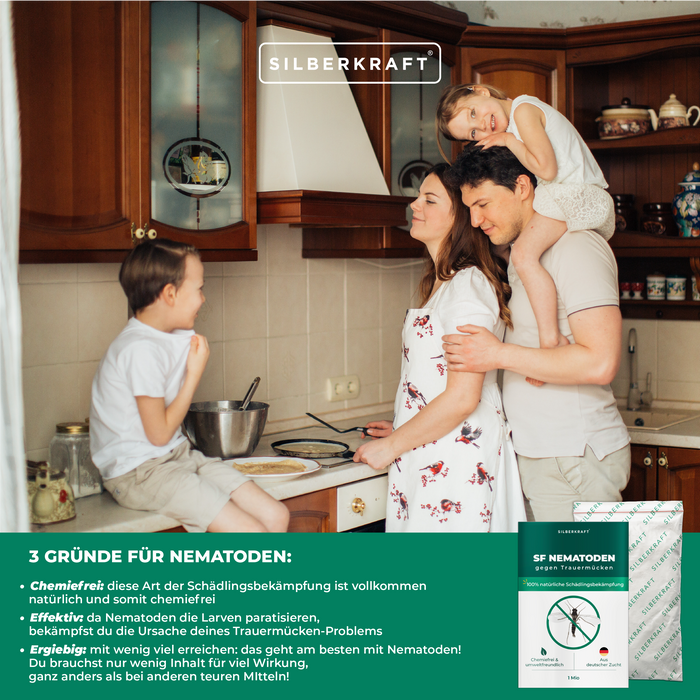 SF Nematoden zur Bekämpfung von Trauermücken für Zimmerpflanzen - Silberkraft