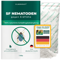 Nicienie SF przeciwko chrząszczom pcheł