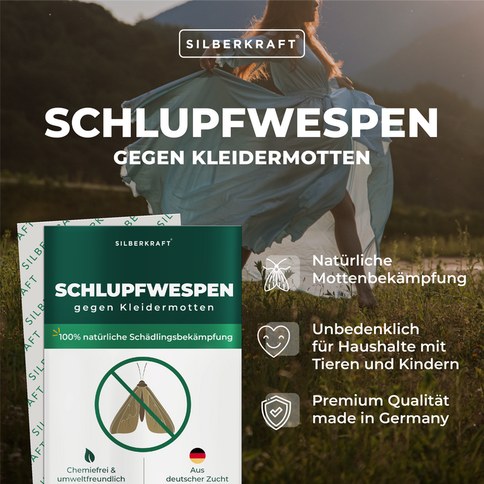 Schlupfwespen gegen Kleidermotten - Silberkraft