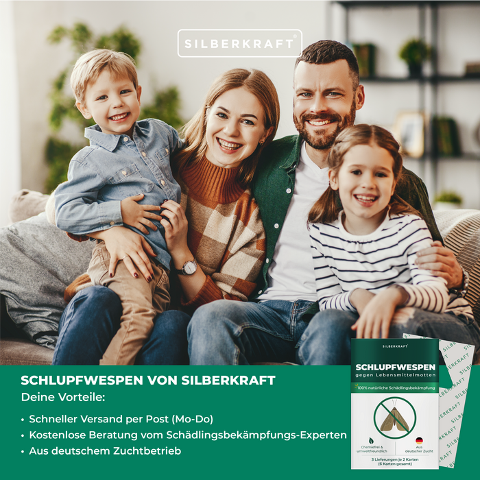 Schlupfwespen gegen Lebensmittelmotten - Silberkraft