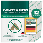 Schlupfwespen gegen Lebensmittelmotten - Silberkraft