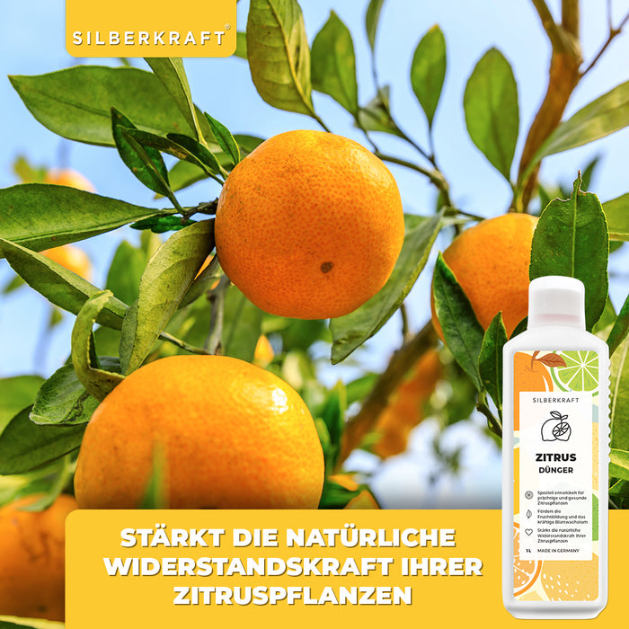 Zitrusdünger - Mineralischer NPK Flüssigdünger mit Stickstoff - Dünger für Zitruspflanzen - Zitronenbaum düngen - Silberkraft