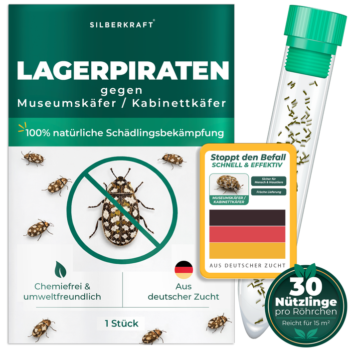 Silberkraft Lagerpiraten gegen Museumskäfer und Kabinettkäfer – natürliche Nützlinge zur chemiefreien Bekämpfung von Museumskäfern im Haushalt, aus deutscher Zucht,  30 Lagerpiraten pro Röhrchen