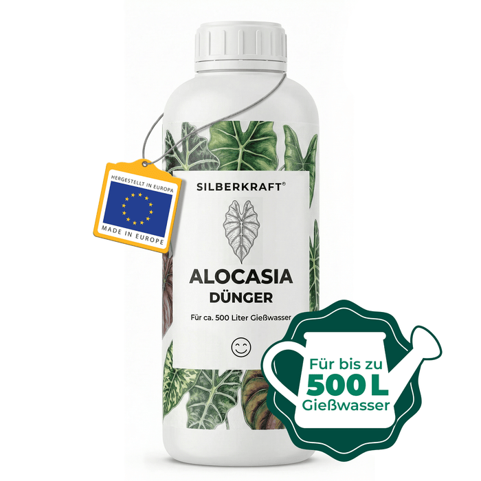 Alocasia-Dünger - Silberkraft