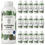 Alocasia-Dünger - Silberkraft