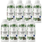 Alocasia-Dünger - Silberkraft