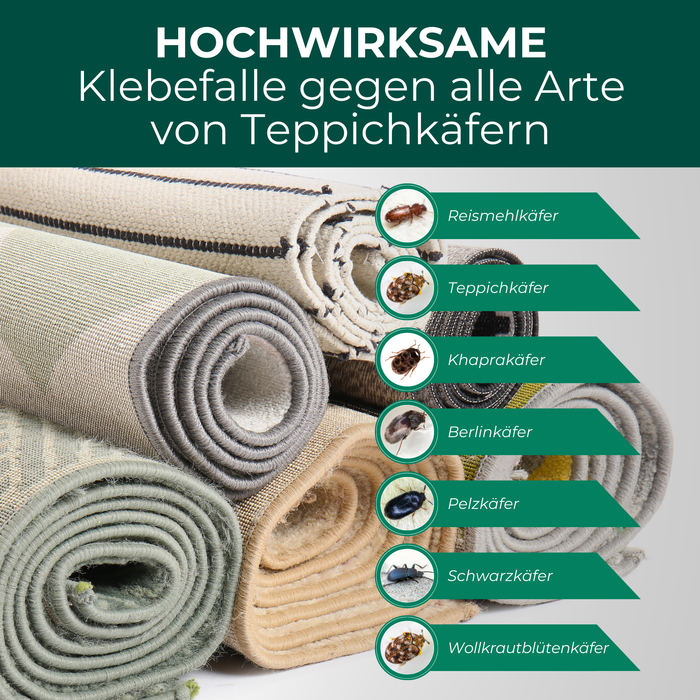 Klebefalle gegen Teppichkäfer – wirksam gegen Teppichkäfer, Pelzkäfer, Wollkrautblütenkäfer und verwandte Arten