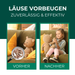 Vorher-Nachher-Vergleich zur Läusevorbeugung: Links ein Kuscheltier mit Läusebefall, vergrößert durch eine Lupe. Rechts ein Kind, das entspannt mit dem lausefreien Kuscheltier spielt. Text betont 'Läuse vorbeugen – zuverlässig und effektiv' als Wirkung des Silberkraft Läusesprays für Textilien