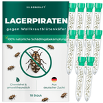 Silberkraft lager piraci przeciwko wełnistom - naturalne, pożyteczne owady do zwalczania wełnistek w gospodarstwie domowym, bez środków chemicznych, z niemieckiej hodowli, 10 x 30 lager piratów w tubie