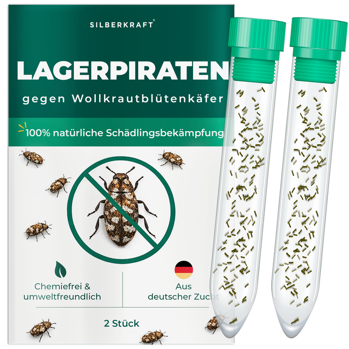 Silberkraft lager pirates przeciwko wełnistkom - naturalne, pożyteczne owady do zwalczania wełnistek w gospodarstwie domowym, bez środków chemicznych, z niemieckiej hodowli, 2x 30 piratów lagerowych w tubie
