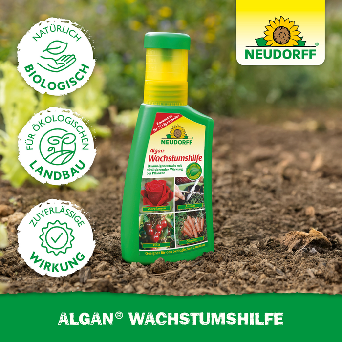 Neudorff Alganowy środek wspomagający wzrost - Silberkraft