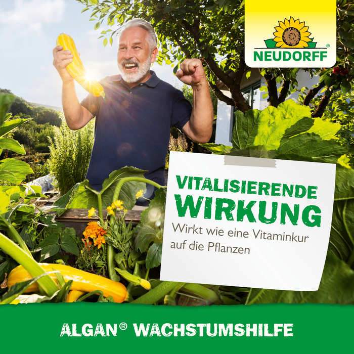 Neudorff Alganowy środek wspomagający wzrost - Silberkraft