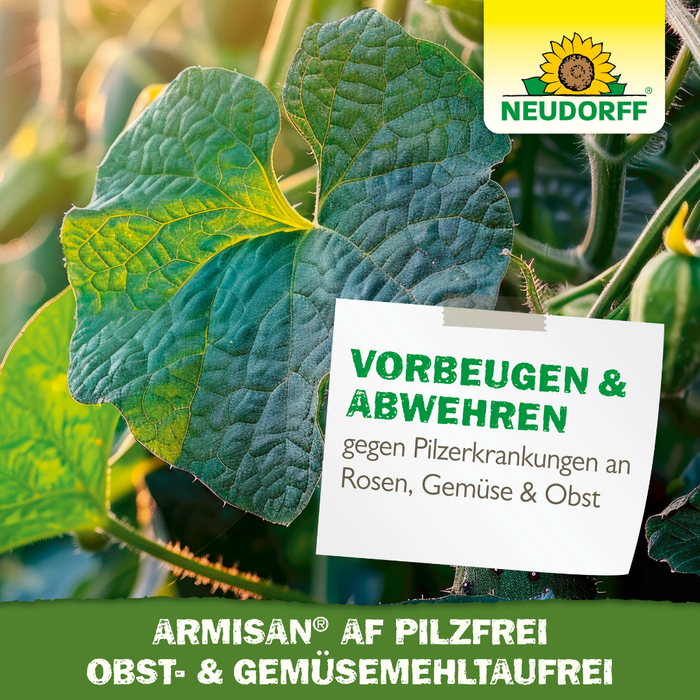 Neudorff Armisan AF Owoce i warzywa wolne od grzybów, wolne od pleśni - Silberkraft