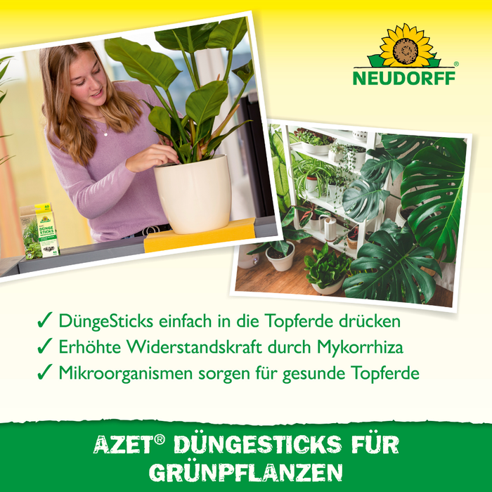 Neudorff Azet w sztyftach nawozowych dla roślin zielonych - Silberkraft
