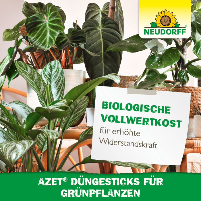 Neudorff Azet w sztyftach nawozowych dla roślin zielonych - Silberkraft