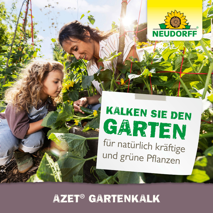 Limonka ogrodowa Neudorff Azet - Silver Power