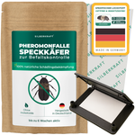 Chrząszcz bekonowy - pułapka feromonowa - Silberkraft