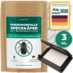 Chrząszcz bekonowy - pułapka feromonowa - Silberkraft
