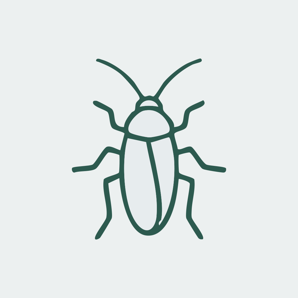 Schaben & Kakerlaken