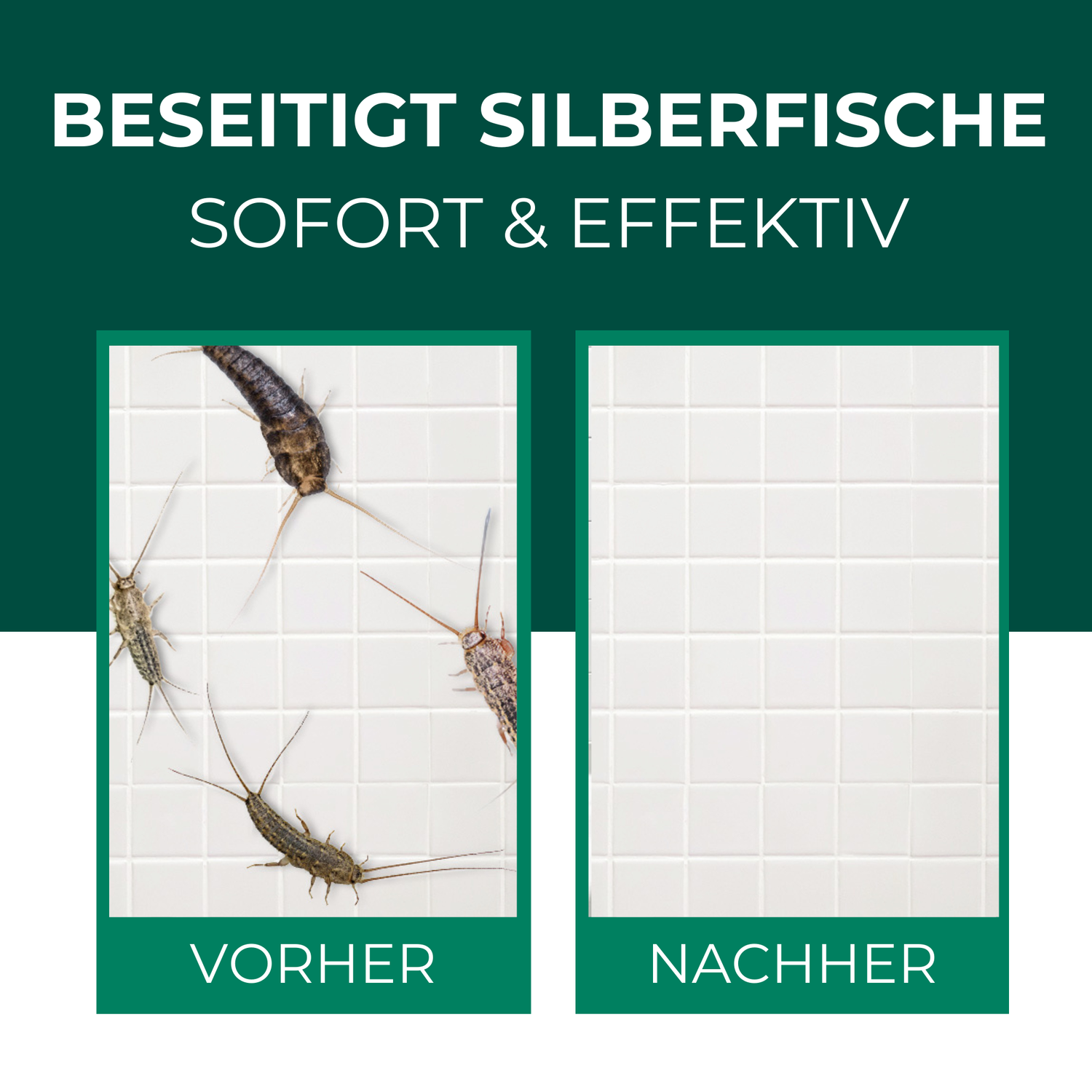 Silberfischspray - Silberfische / Papierfische vertreiben - Silberkraft