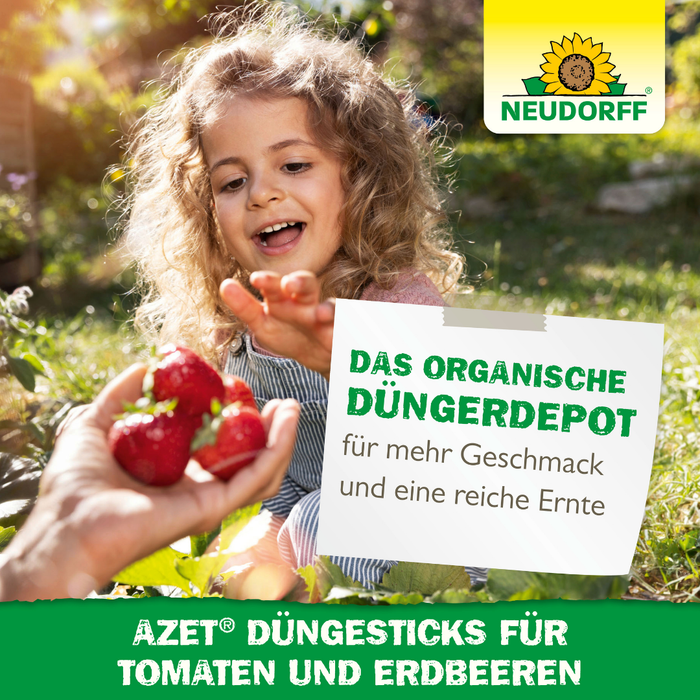 Nawóz Neudorff Azet w sztyfcie do pomidorów i truskawek - Silberkraft