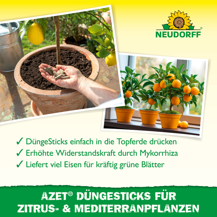 Neudorff Azet DüngeSticks für Zitrus- und Mediterranpflanzen - Silberkraft