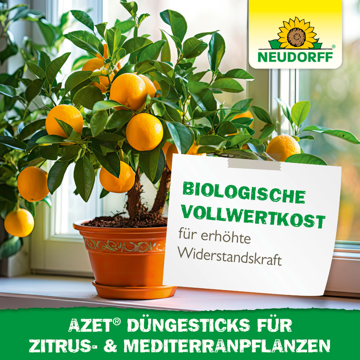 Neudorff Azet DüngeSticks für Zitrus- und Mediterranpflanzen - Silberkraft