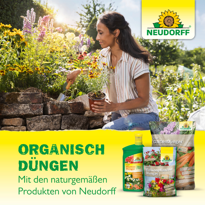 Neudorff Azet DüngeSticks für Zitrus- und Mediterranpflanzen - Silberkraft
