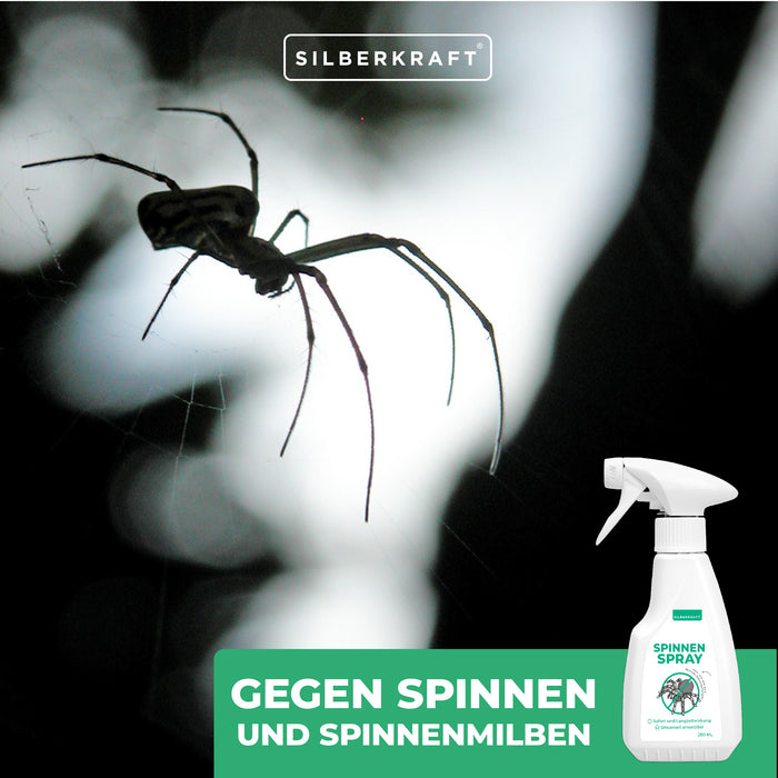 Spinnenspray Klein - Silberkraft