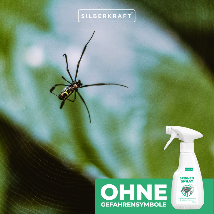Spinnenspray Klein - Silberkraft